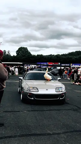 🪿  #toyota #a80supra #mk4supra #carsoftiktok 