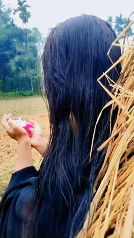মন - মেজাজ ভালো নেই ইচ্ছে করতেছে পাহাড়ের ওপর বসে এক কাপ চা খাই তারপর চোখ বন্ধ করে সেখান থেকে লাফ দেই