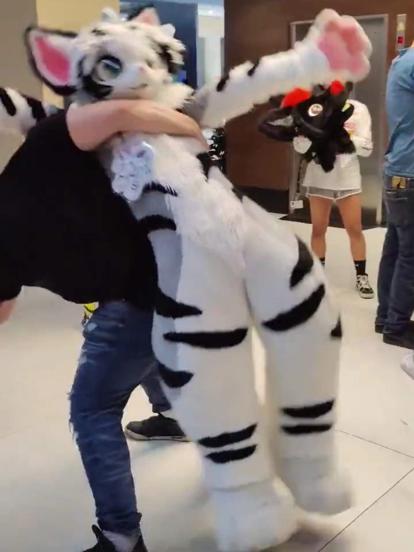 [Fursuit Show] Give the cat orc pet in heat a hug and a throw【兽装展示】给发情的猫咪兽人宠物来一个抱摔#fursuitmaker #gamermac #teamwork #skibidi #tiktok #cat #dog #furrytiktok #furry #art #kemono #starfox #krystal #fursuiter #mff #gyatt #rizz #ohio #fursuit #costume