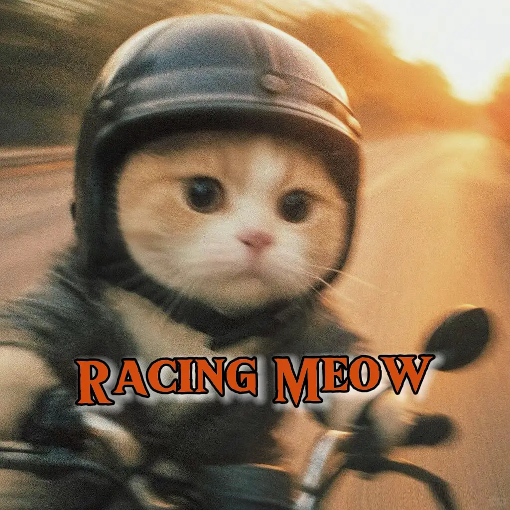 #meow #meo 