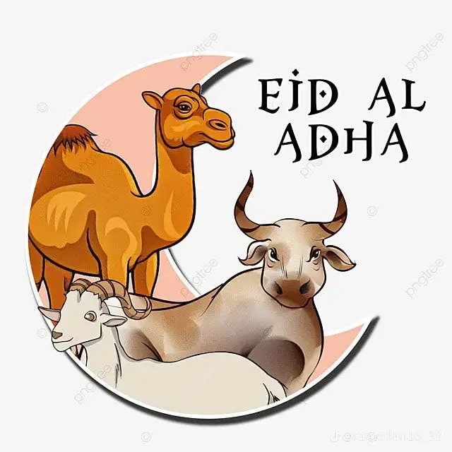 ayo ramaikan PP idul adha 2025👏 #harirayaiduladha #moots? #ppiduladha #iduladha #hariraya #masukberanda #viral #fyp 