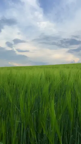 #мояукраїна 