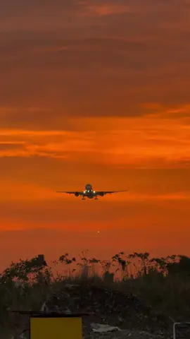 Fantasy phase: closed  FT. OPM || Prototype  #aviation #planespotting #manila 