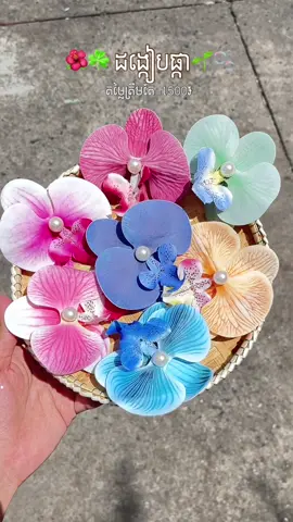 ដង្កៀប🥹💕#bestiestore #បុរីពិភពថ្មីចំការដូង1ផ្ទះលេខ49ផ្លូវលេខ17 