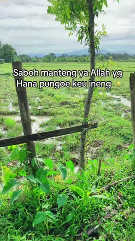 #katakataaceh✨ #fypシ゚ #fyp #fypdong 