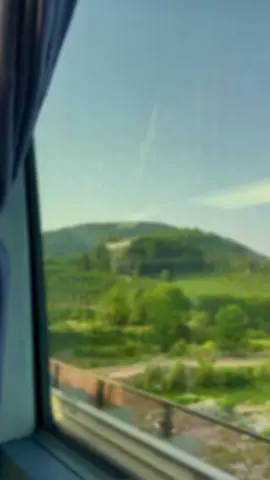 #viral #nhachaymoingay #thinhhanh 