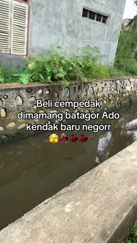ai Keno nian lor
