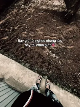 Sau này thì chưa biết 🫀#quocvy_07 