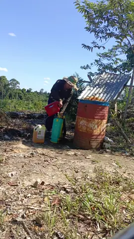 Tidak harus sekarang  dipersiapkan dari sekarang TBM🔥#sawitmandiri 