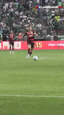 Arrascaeta Pai do Palmeiras. #flamengo 