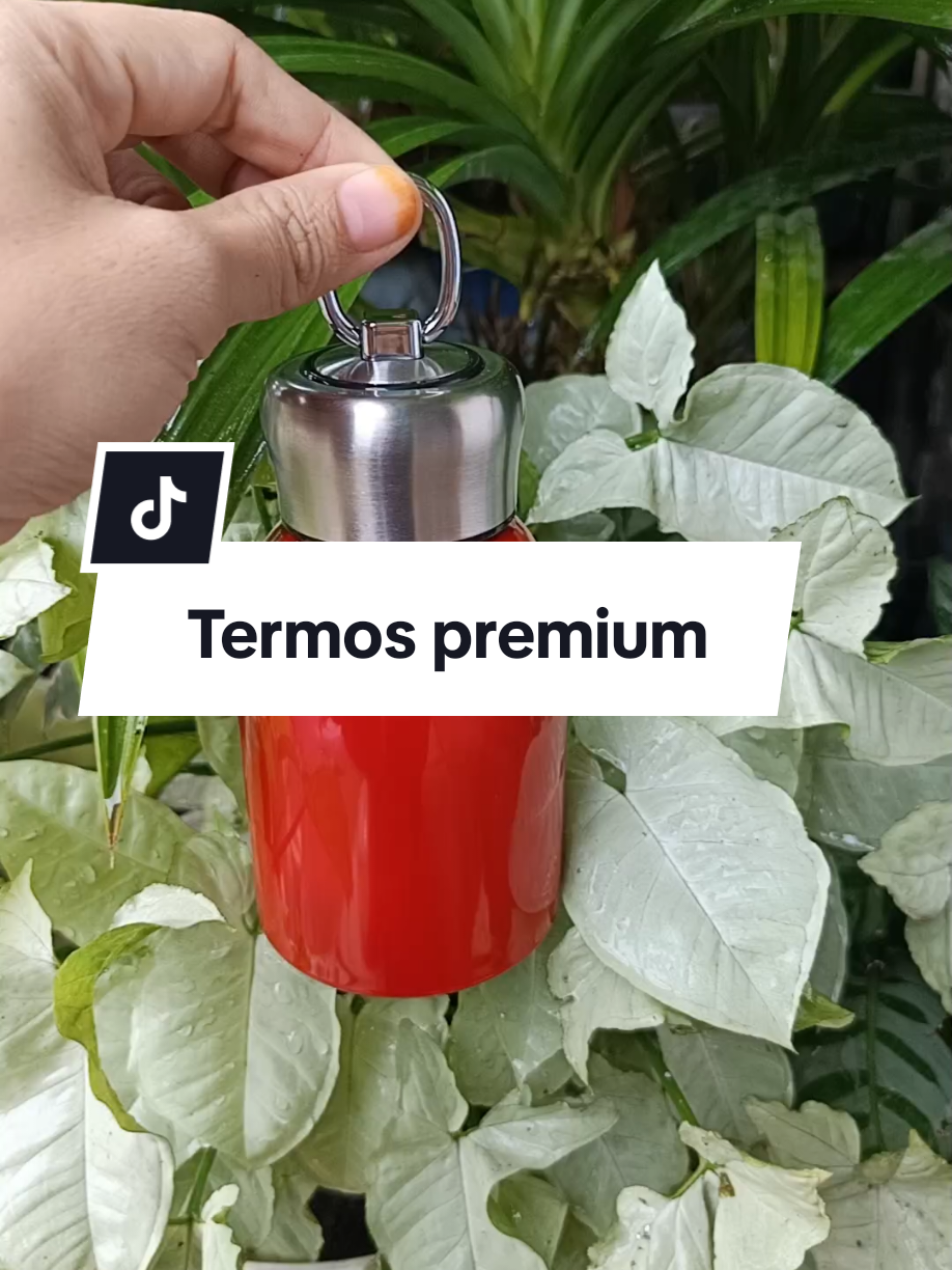 #termospremium#Termosbogel #termossultan #termos #termos mini buat kopi #termosminimurah #foryou #fypforyoupage #bismillah 