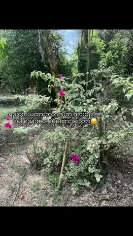 #fyppppppppppppppppppppppp #စာတို #relatable #viral #livephotos 