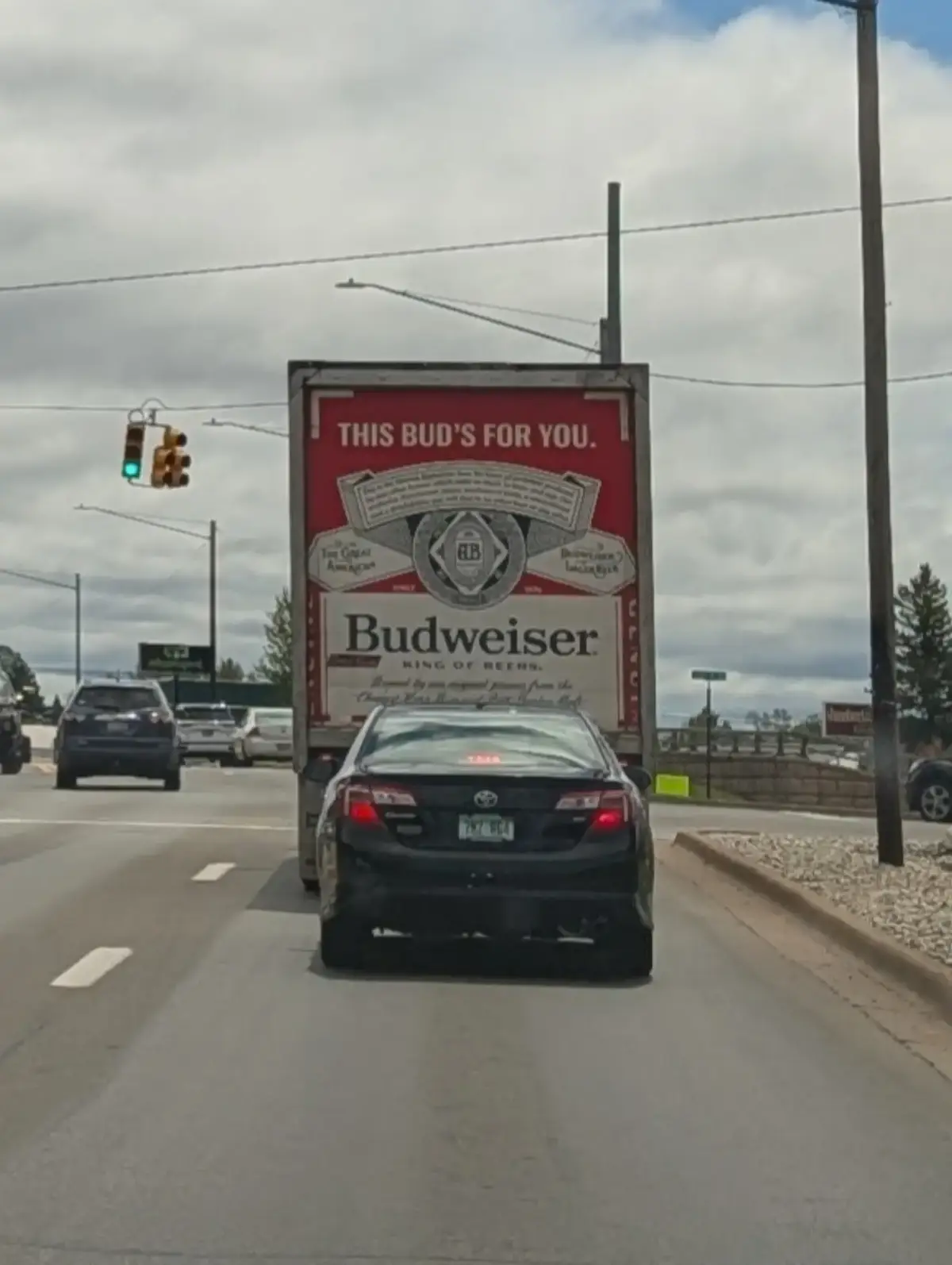 I LOVE BEER AND BUDWEISER #fyp #foryou #budweiser #beer 
