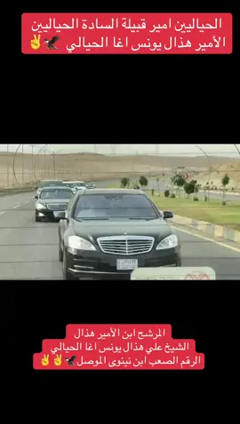 #امير_قبيلة_السادة_الحياليين_هذال 🦅🇮🇶#اعادة_النشر🔃 #اعادة_النشر🔃 المرشح علي هذال يونس اغا الحيالي الرقم الصعب🦅🦅