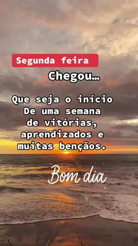 🌞 Bom dia, segunda-feira! Que a semana comece com energia, foco e muita coisa boa chegando! 🙌 Vamos com tudo, pensamento positivo e gratidão no coração! 💪✨ Tenha uma semana incrível! 💛 #BomDia #SegundaFeira #BoaSemana #Gratidão #EnergiaPositiva #VibeBoa #FocoNaSemana #Motivação #TikTokBrasil #ComeceBem #PensamentoPositivo #InícioDeSemana #GoodVibes 