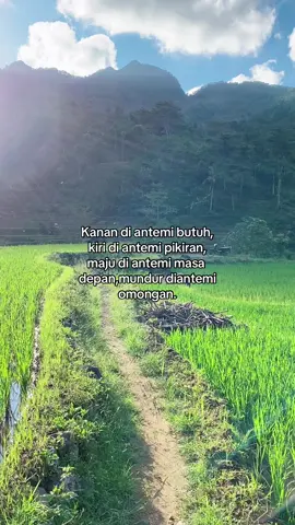 Wayahe miker pirang pirang #petanimuda #masukberanda #sadvibes #foryoupage #fyp 