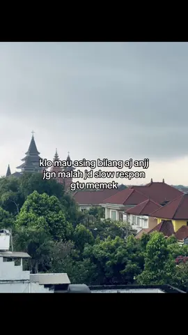 palanya minta di gebug pke tbung gas☺️#fyp #4u #viral #katakata 