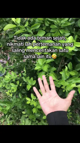 Saling nusuk hahaha