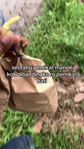 Wkwkw#mikatsogon #lungombolang #cahngalas #sogonmaniaindonesia #masukberanda #fyp 