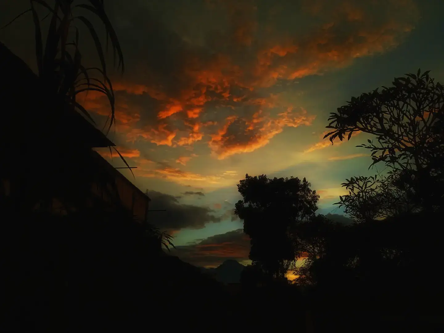 #fyppppppppppppppppppppppp #foryou #fyp #100k #viral #trend #trending #foryoupage #fypppppppppppppppppppppp 