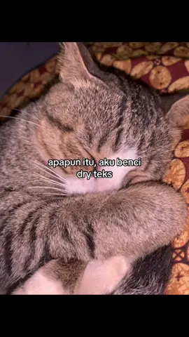 apalgi yg ngetik cewe. #fyp #foryou #fypシ゚ #moots? 