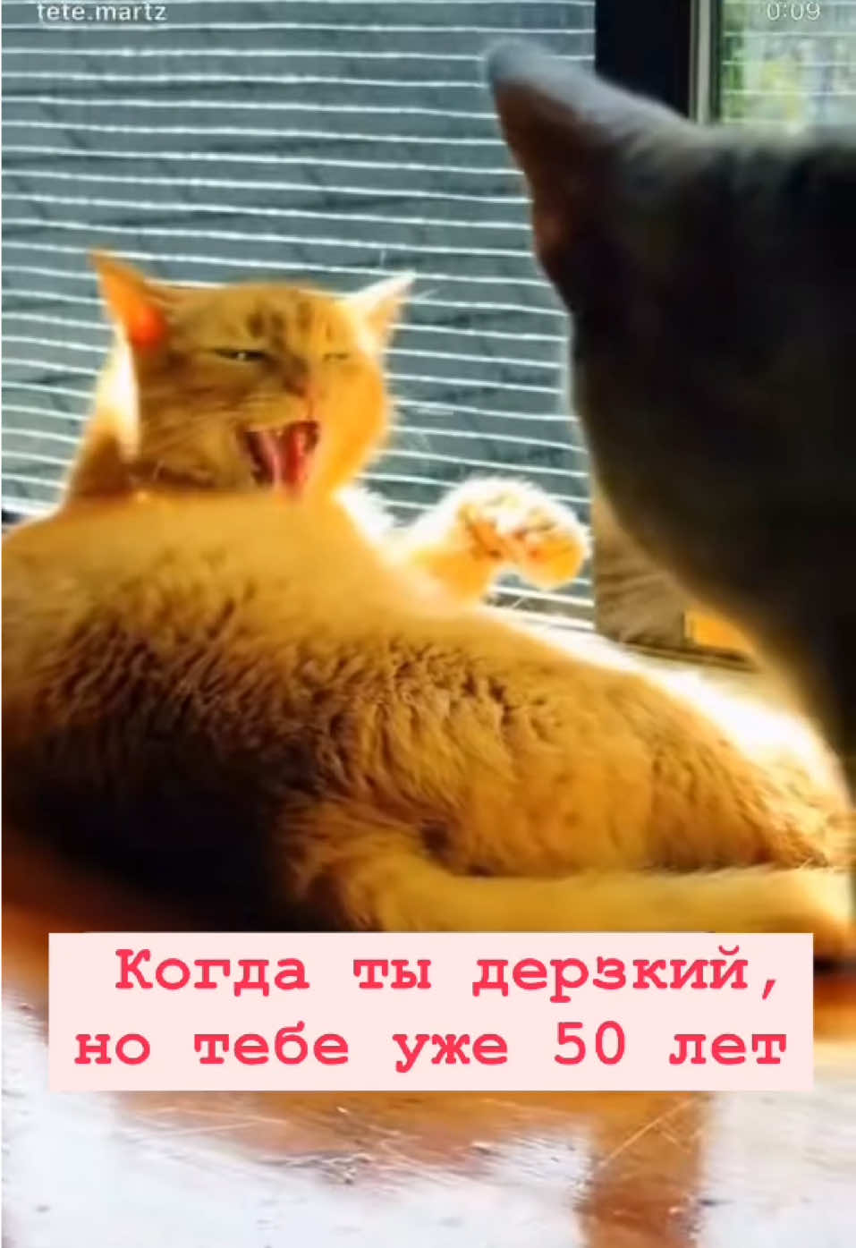 Мой mood 🤣