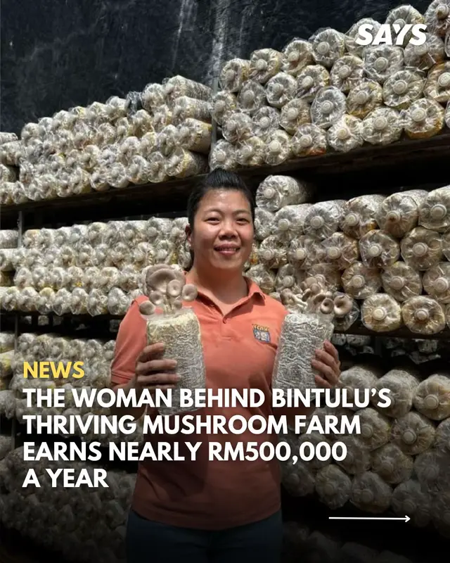 Mushrooms require constant care and a precise environment to thrive. For those interested in buying or learning more, check out the full story linked or head to www.says.com! #SAYSnews