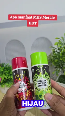 Manfaat mhs merah adalah untuk meredakan masalah otot dan sendi#minyakbutbutmerah #mhshot #minyakbutbut #hni #fyppppppppppppppppppppppp @hendikusandi_ @Riaaaaaa🦋 @kotijah @yuli.nuhaa 