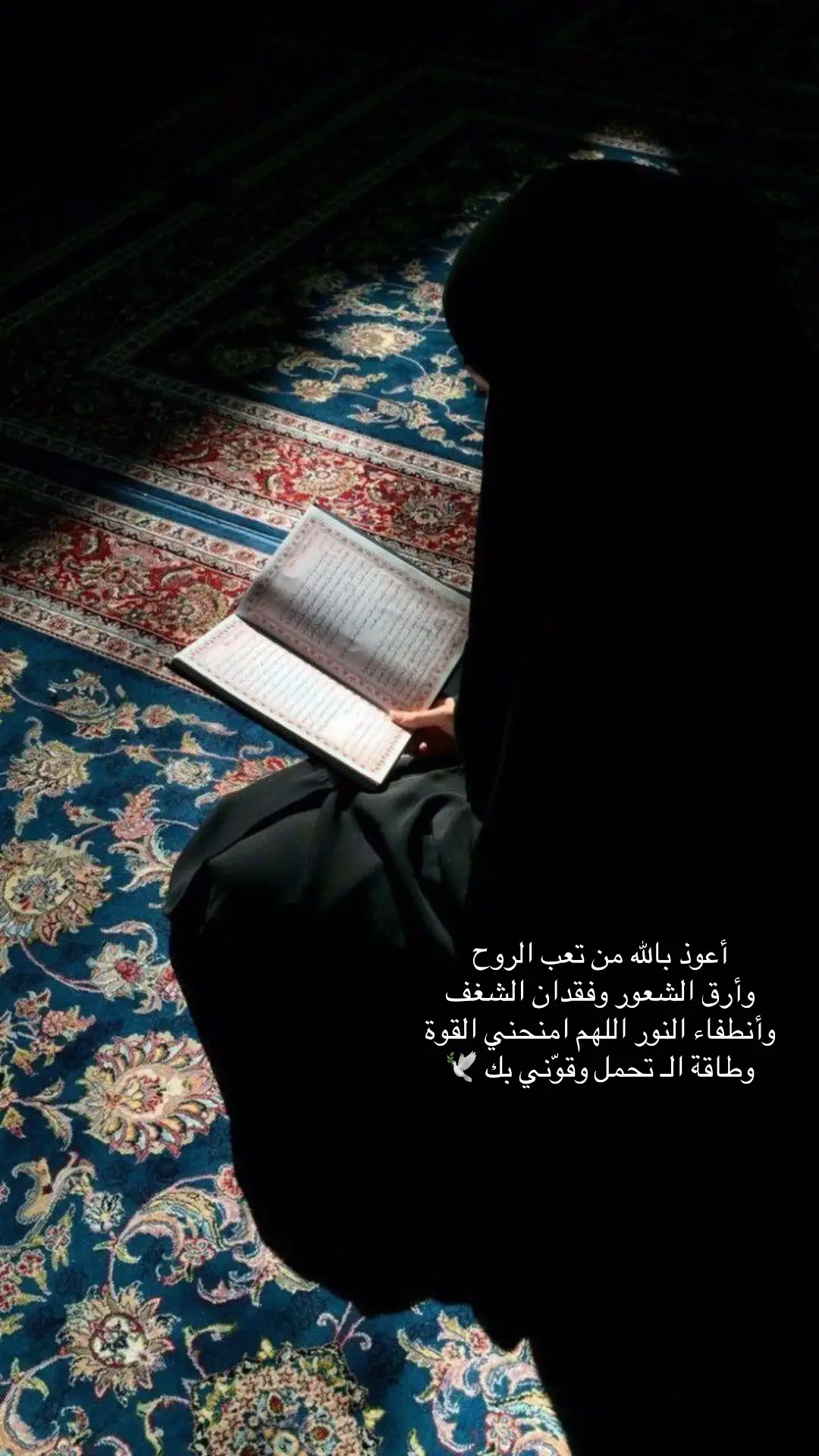 #كربلاء #