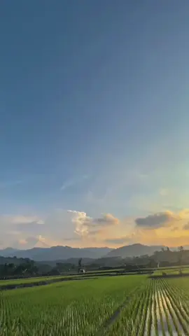 #vegazr#5d9#5d9gank#vega#fyp#xyzbca#foryou#fypage#berandafypシ 