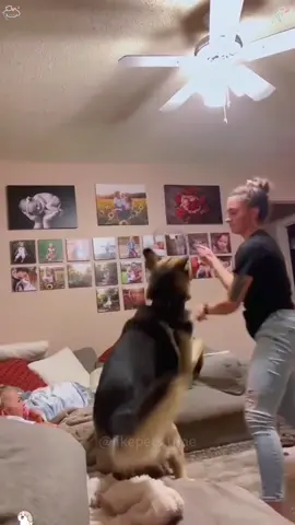 Dogs will always protect children.#tiktok #Love #usaus #doglover#protect #baby #friend