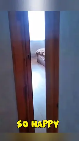 Funny stories about babies and dog 🥰😘 #pet #cat #dog #cute #animals #foryou #typ