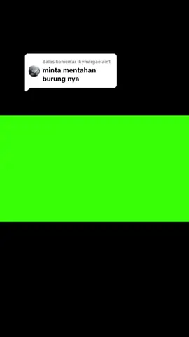 Membalas @ikymargaelain1 nihh mentahannyaa #mentahanburunggagak #mentahangfx #fyp  #gfx 