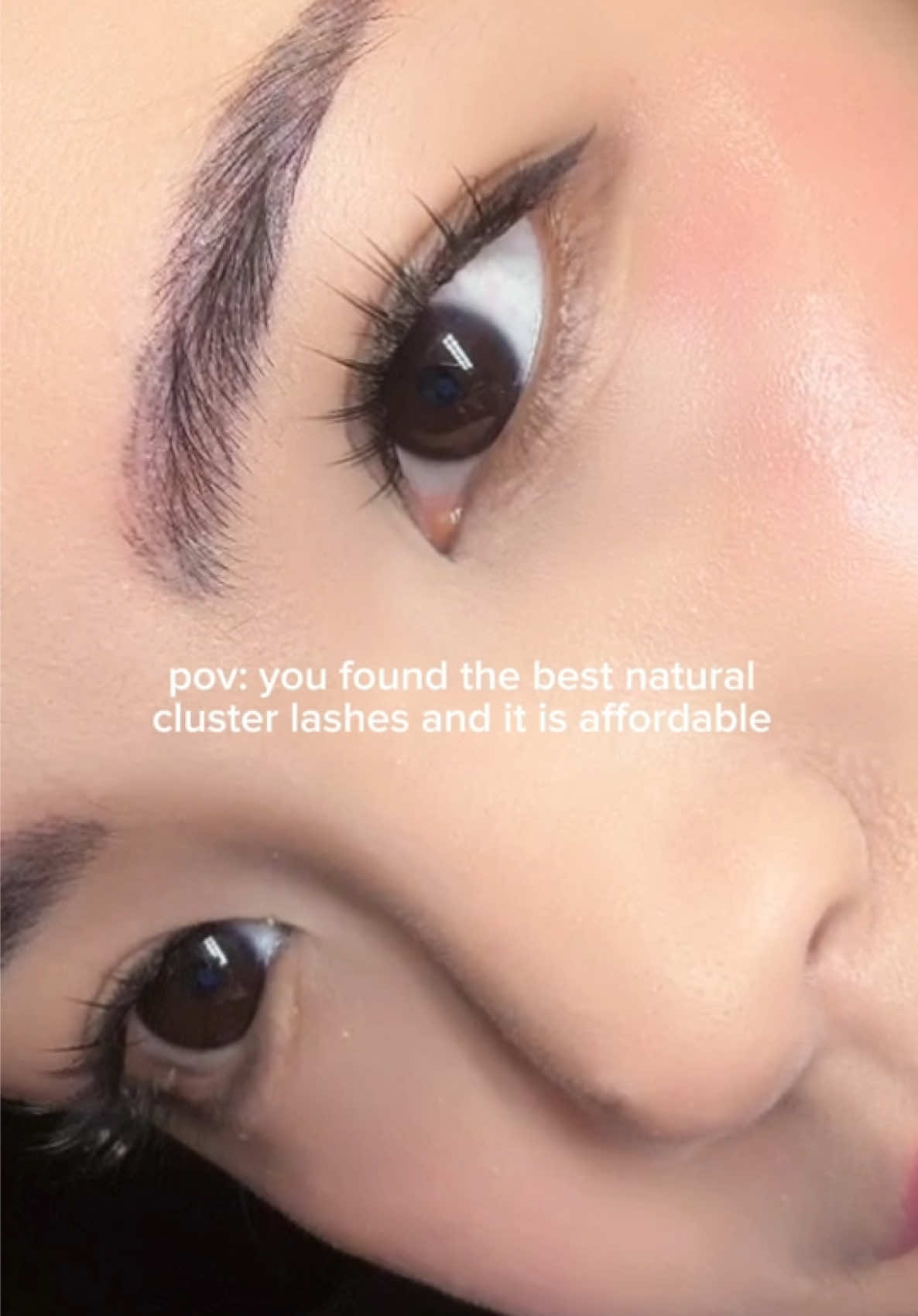 Cat’s paw! Natural cluster lashes! It is glue-free♥️♥️♥️ #clusterlashes #falsies #lashes 