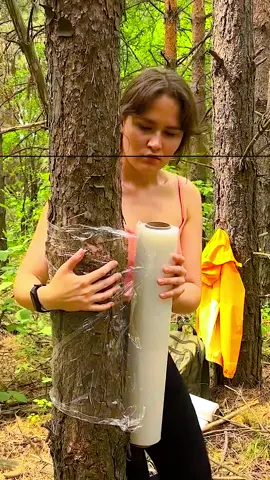 Ep 381 - Film hammock Tent ⛺️ #camping #survival #bushcraft #Outdoors 