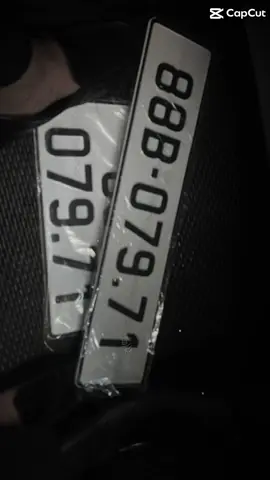 2 cận vệ mới ....