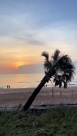 #MemorialDay #OrmondBeach 