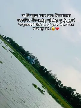 আমি আজ থেকে যতো দিন বাচবো ততোদিন পাঁচ ওয়াক্ত নামাজে তুমার মতো কাপুরুষের ধ্বংস চাইবো তুমার বেইমানির মাফ হয় না..!😅💔#CapCut #vairal #নারীর #CapCut😅 