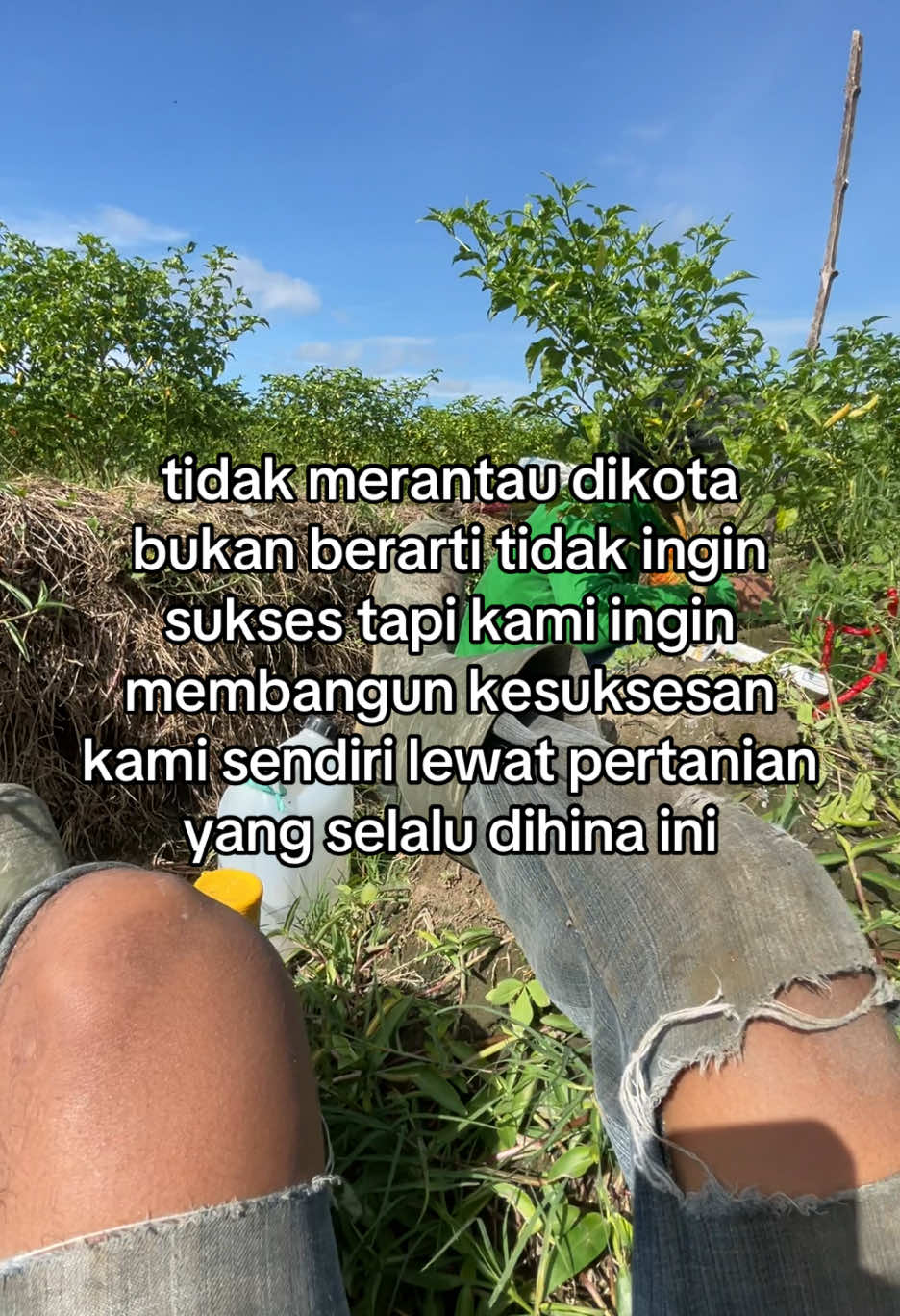 semoga semua tercapai, semangat terus petani muda🫶🏻#petanimuda #pertanianberkelanjutan #krisisiklim #petanimodern 