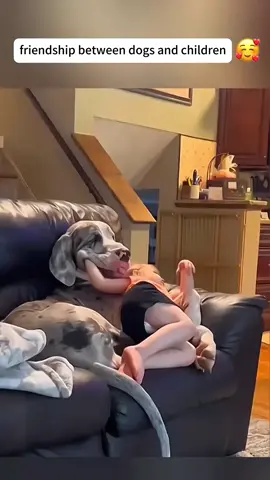 Friendship between fogs and children🥰🥰#tiktok #usa🇺🇸 #dogs #baby#bestfriend #Love #happy #dogsoftiktok 