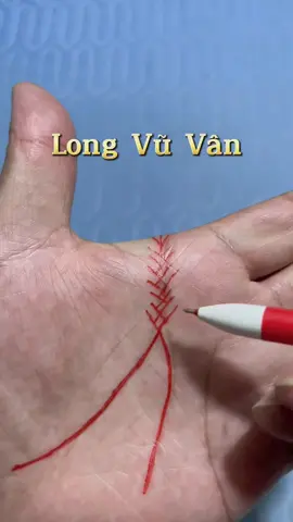 Long Vũ Vân