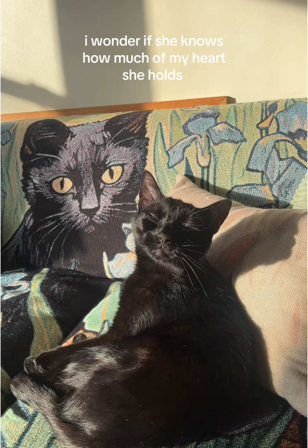 my estrella niña aka este ✨💫#voidkitty #adoptdontshop #blackcats #catsoftiktok #babygirl #blackcat #cat #kitty 