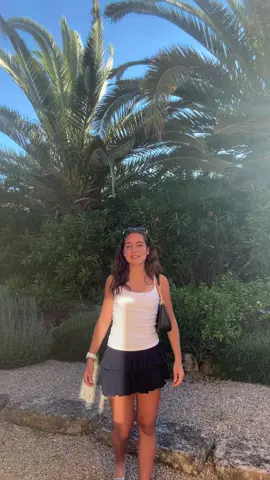 🌴🌴🌴