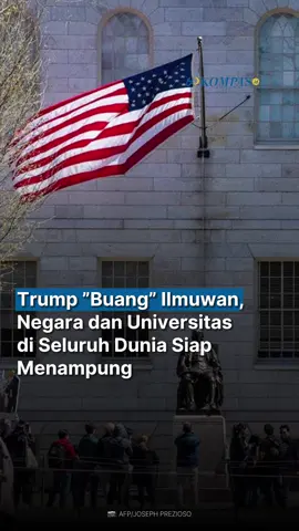 AS menyia-nyiakan bakat para ilmuwan kelas dunia. Berbagai negara dan universitas di seluruh dunia berlomba-lomba merekrut dan menjanjikan kebebasan akademis.
‌ Beberapa universitas telah membekukan perekrutan, memberhentikan staf, atau berhenti menerima mahasiswa pascasarjana baru. Trump juga mencabut izin Universitas Harvard untuk menerima mahasiswa internasional, Kamis (22/5/2025). Berbagai lembaga penelitian di luar negeri mulai mengkhawatirkan nasib kolaborasi yang mereka jalin dengan para ilmuwan AS.
‌ Baca artikel lainnya di harian Kompas (Kompas.id). #HarianKompas #Kompasid #Ilmuwan #AmerikaSerikat #DonaldTrump #Scientist #BacaBerita