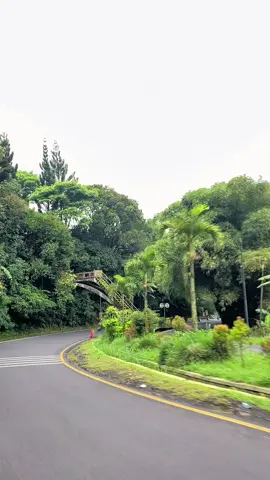#CapCut hijau tenang🌳 #fyp #foryoupage #vilasoekarno #puncakbogor 
