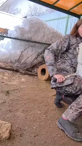 These bunnies are so grumpy #rabbits #bunny #funny #funnyvideos #pet #cute #foryou #tiktoks #animals #foryourpage #fyp #video 