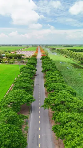 Một Con Đường Thật Đẹp 