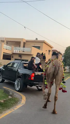 MashAllah ♥️