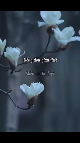 #kỷ niệm xưa #HuE #cuocsongthuongngay #tamtrang #tamtrangcuocsong # Sống đơn giản thui miễn vui là được ❤️☘️☘️❤️🌹✌️