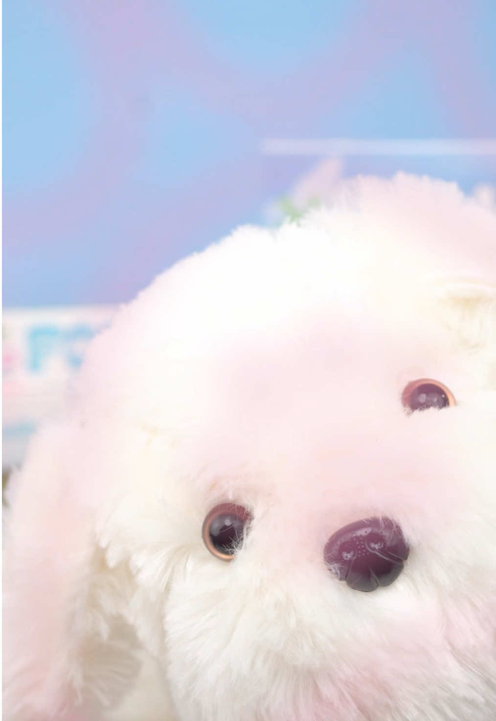 Son cho hội mê nèee 🐶🐾❤️ #viral #foifvn #foifteddy #sonthachteddy #sonbong #mlbb 